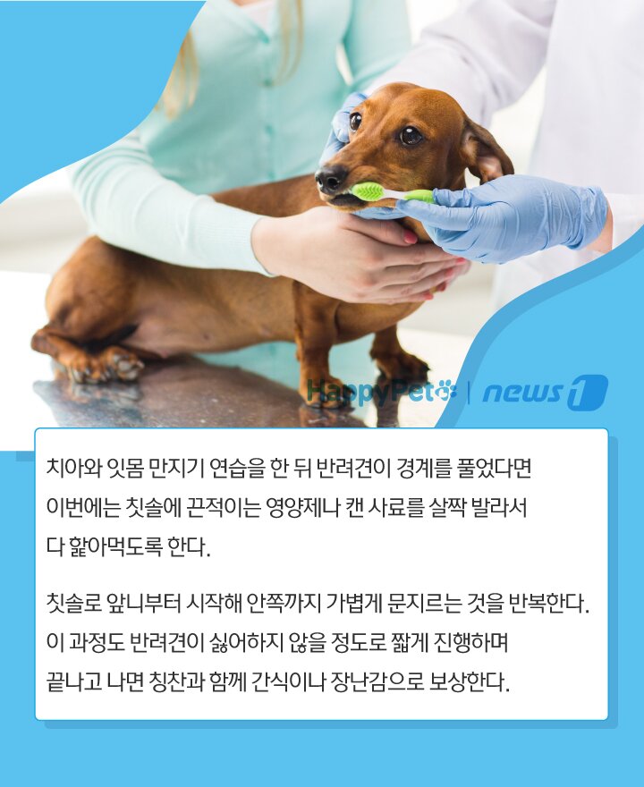 본문 이미지 -  
