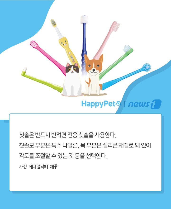 본문 이미지 -  