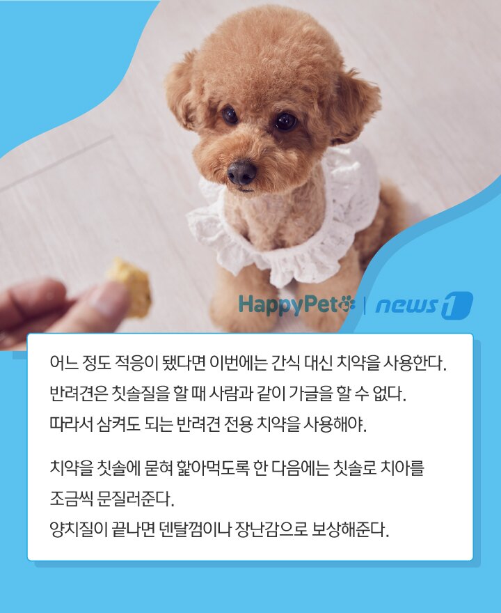 본문 이미지 -  