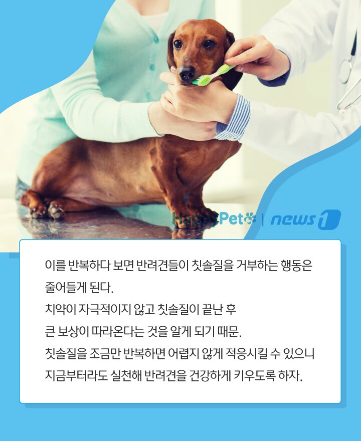 본문 이미지 -  