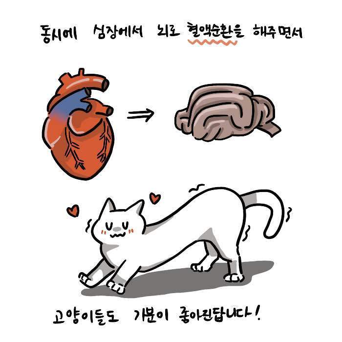 본문 이미지 -  