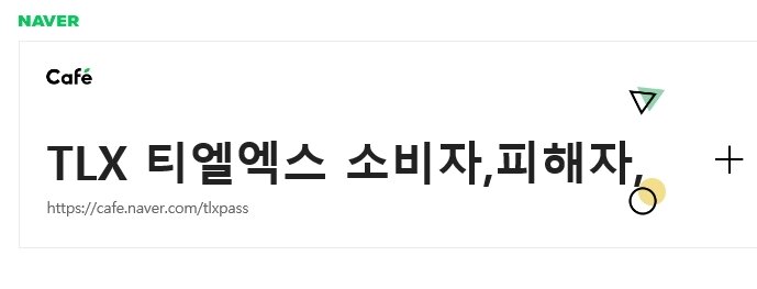 본문 이미지 - 'TLX 티엘엑스 소비자, 피해자' 까페 갈무리 ⓒ 뉴스1