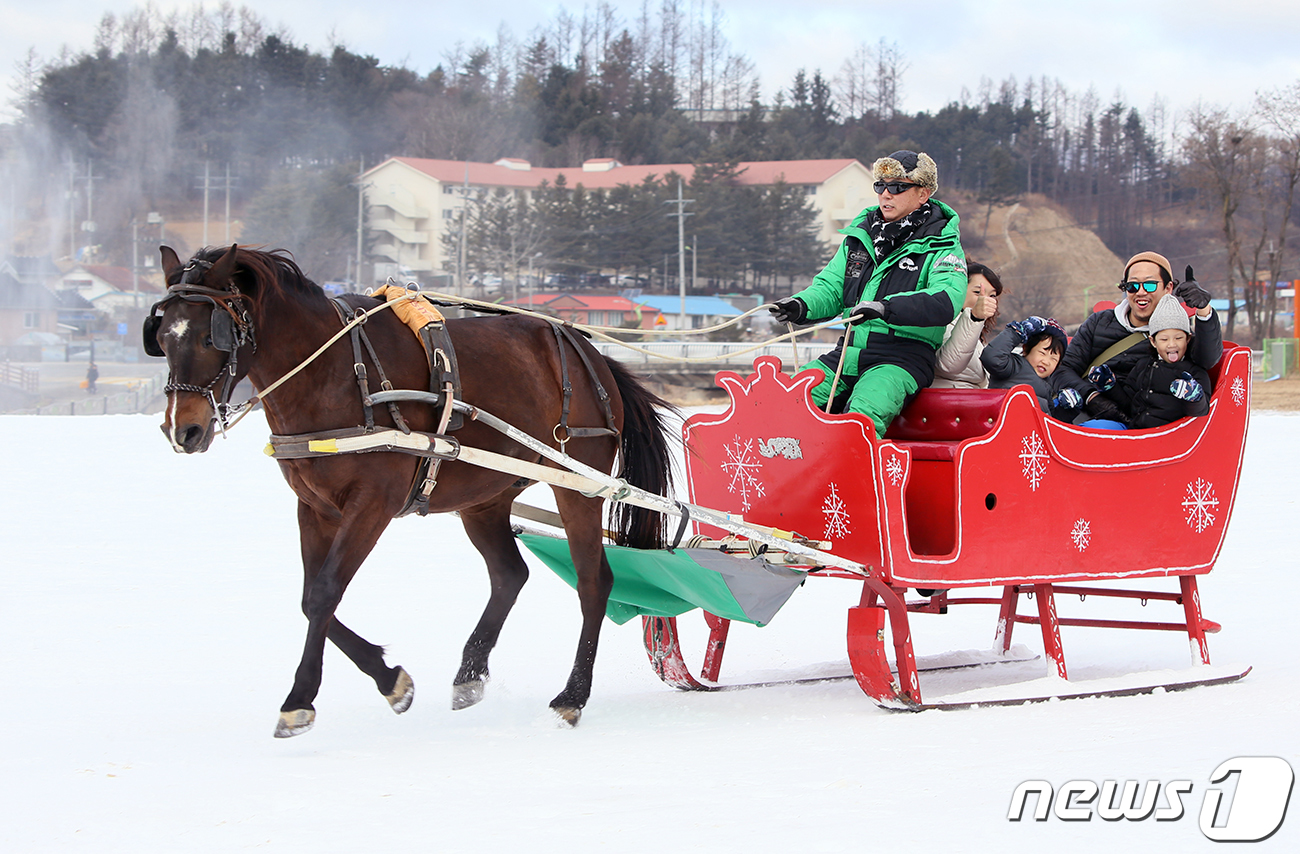(평창=뉴스1) 권혜민 기자 = 17일 강원도 평창군 대관령면 횡계리 일원에서 막을 올린 2020대관령눈꽃축제를 찾은 방문객들이 눈 마차를 타고 있다.(평창군 제공).2020.1. …