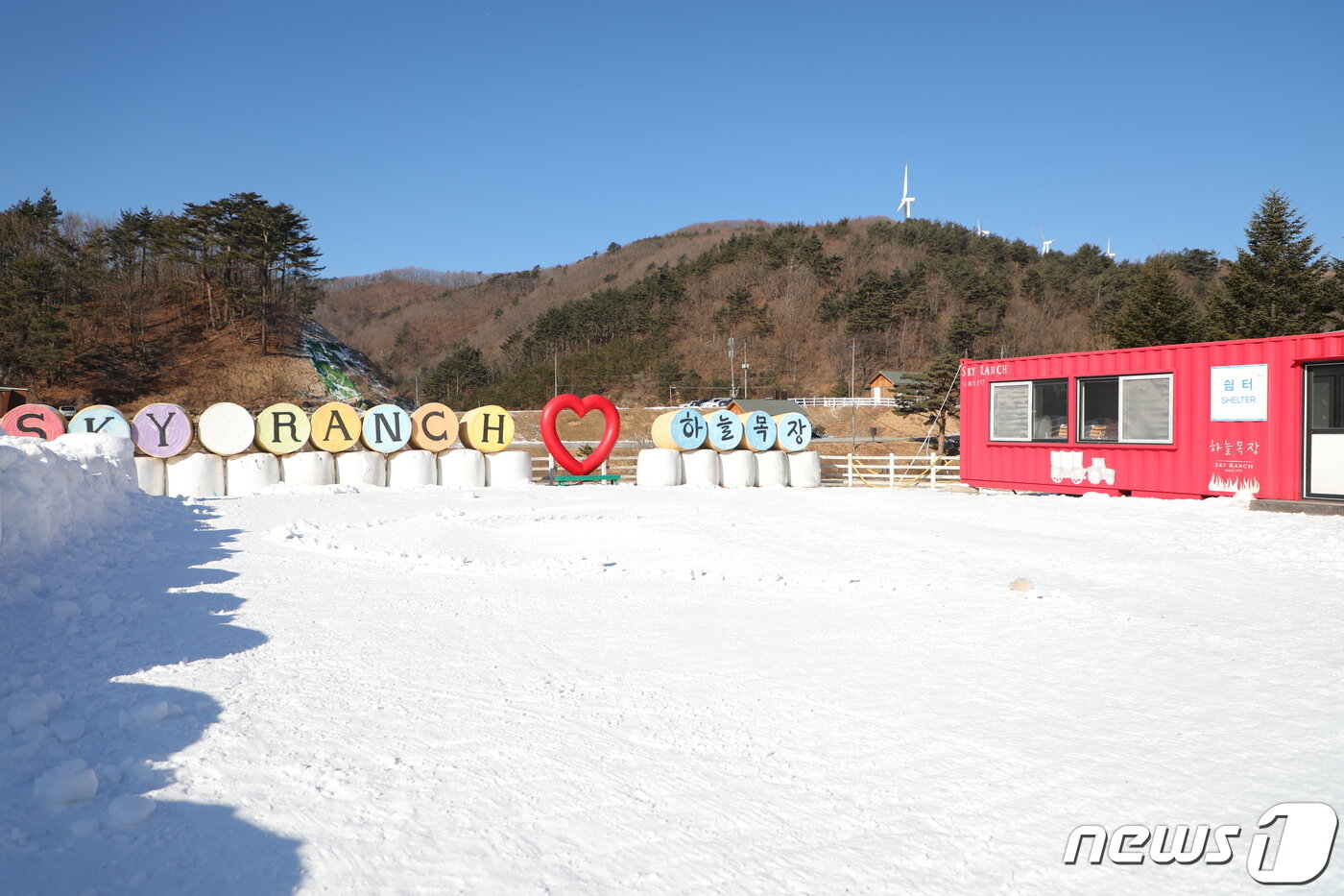 본문 이미지 - 22일 강원도 평창군 대관령면에 자리한 하늘목장의 풍경.2020.1.22/뉴스1 ⓒ News1 권혜민 기자