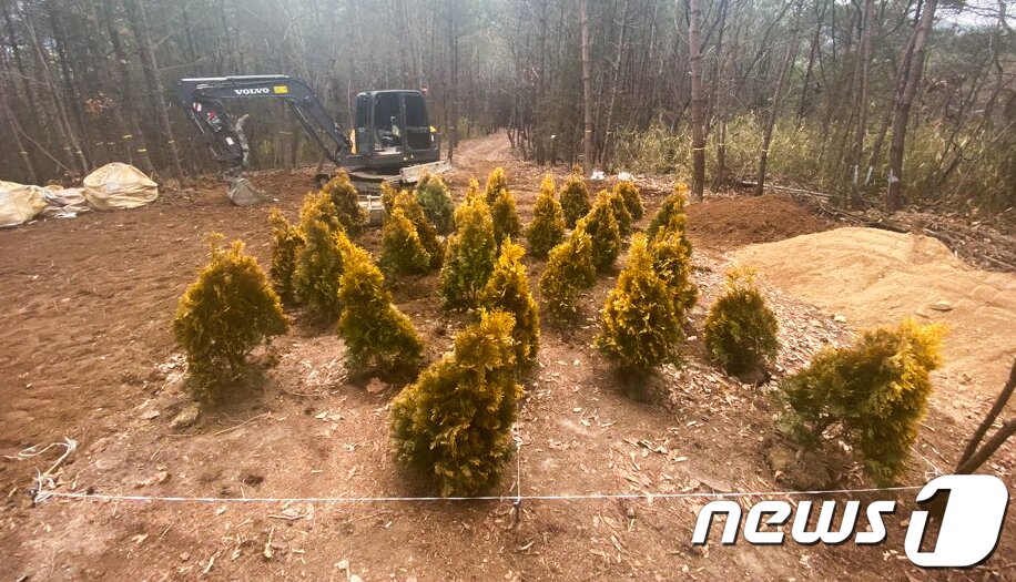 본문 이미지 - 고 신격호 롯데그룹 명예회장이 22일 고향인 울산시 울주군 삼동면 둔기리 선영에 안장될 예정이다. 이날 오전 장례 관계자들이 고 신회장의 장지를 둘러보고 있다. 2020.1.22/뉴스1 ⓒ News1 윤일지 기자