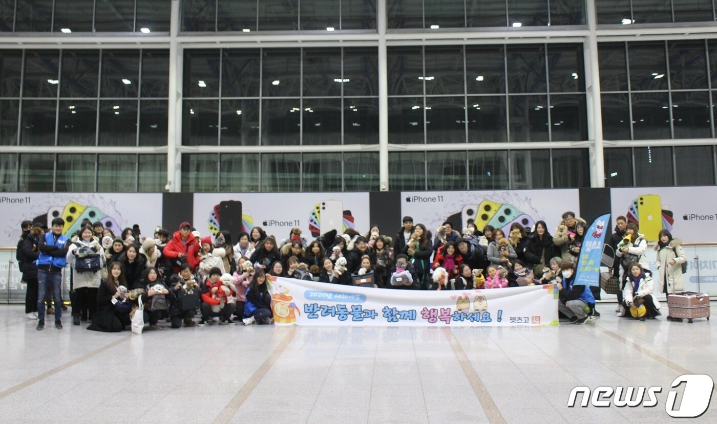 본문 이미지 - 사진 펫츠고 제공 ⓒ 뉴스1