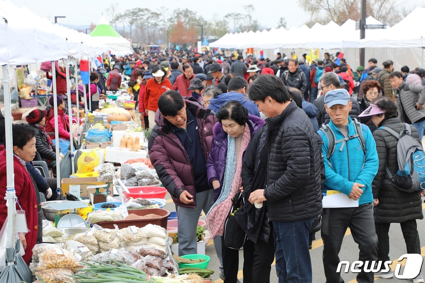 본문 이미지 - 코로나19 발생 전인 2019년 파주장단콩축제가 열리고 있는 임진각 행사장 모습. /사진제공=파주시청 ⓒ 뉴스1