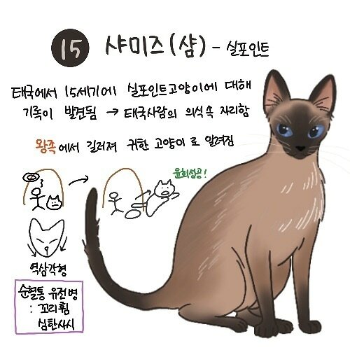 본문 이미지 - ⓒ 뉴스1