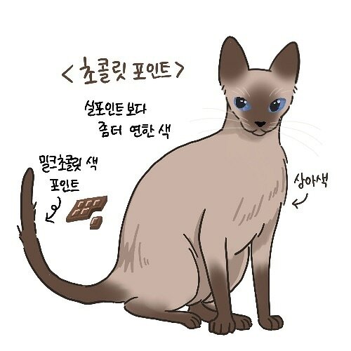 본문 이미지 - ⓒ 뉴스1