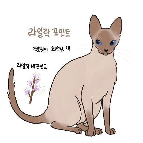 본문 이미지 - ⓒ 뉴스1