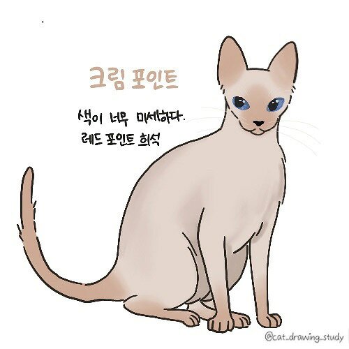 본문 이미지 - ⓒ 뉴스1