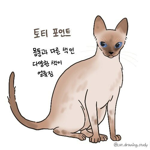 본문 이미지 - ⓒ 뉴스1