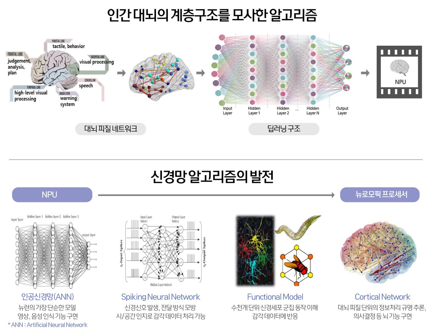 본문 이미지 - AI에 최적화된 프로세서인 NPU와 뉴로모픽 개념도(삼성전자 제공)ⓒ 뉴스1