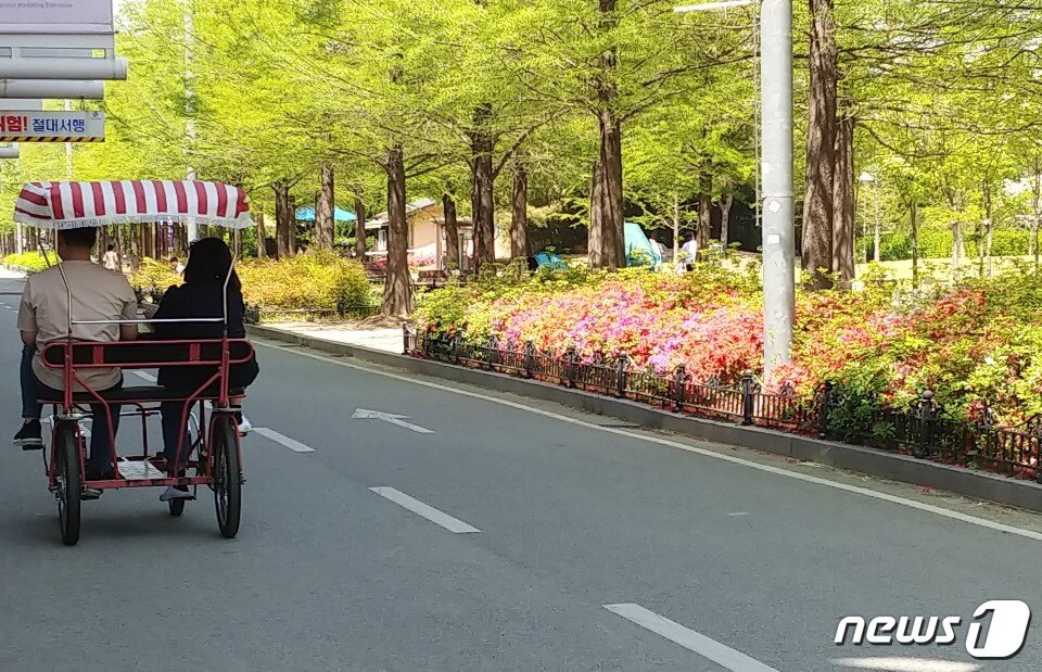본문 이미지 - 한글날 연휴 마지막 날인 11일 대전엑스포시민공원에 나들이를 나온 시민들이 자전거를 타고 있다. /ⓒ 뉴스1