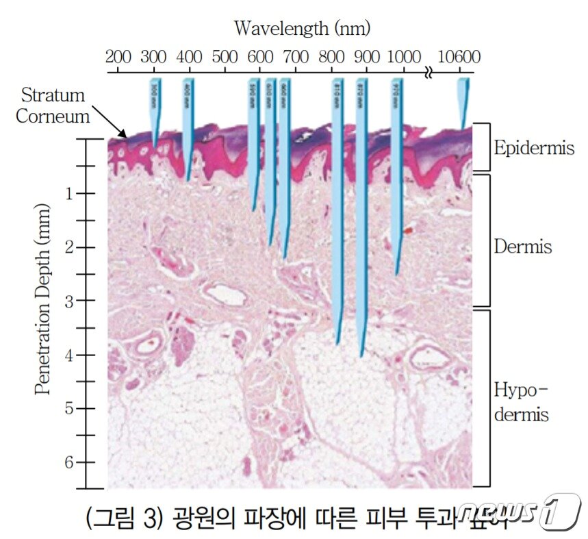 본문 이미지 - (자료= 전자통신동향분석 제25권 제5호 '피부질환 치료용 LED 치료기') ⓒ 뉴스1