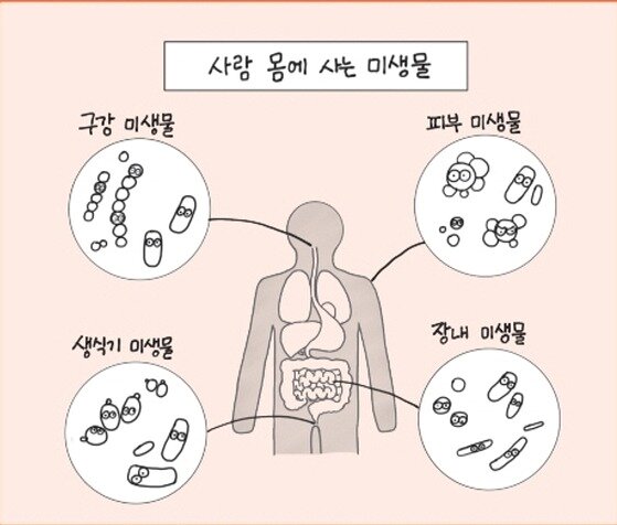 본문 이미지 - 미생물 이야기ⓒ 뉴스1