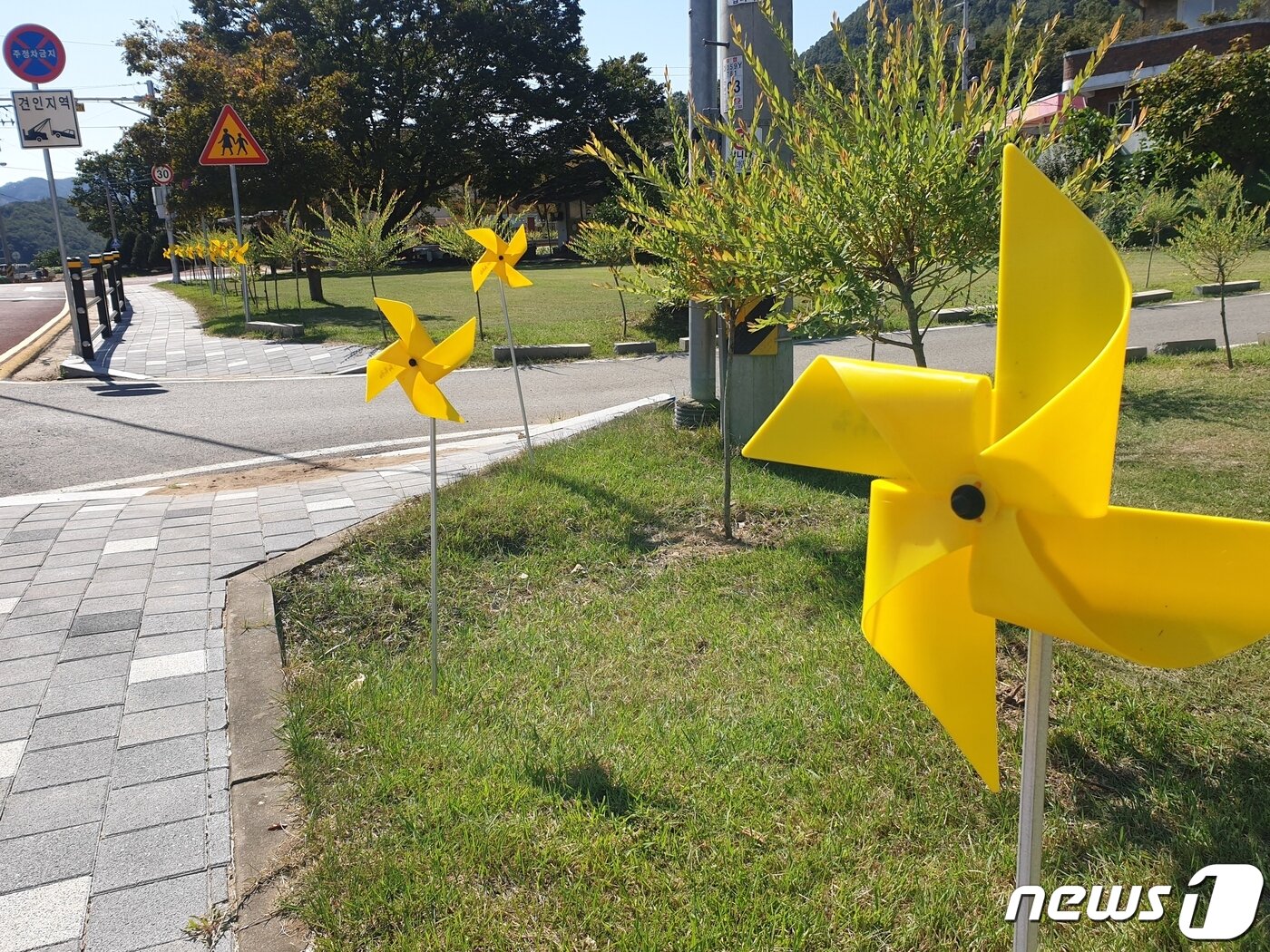 본문 이미지 - 옥천 안남면 둔주봉 일원 바람개비길. ⓒ 뉴스1