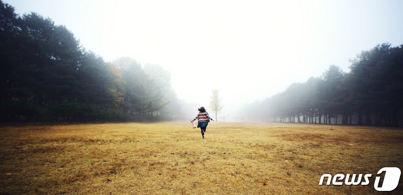 본문 이미지 - 남이섬의 아침 풍경 ⓒ 뉴스1