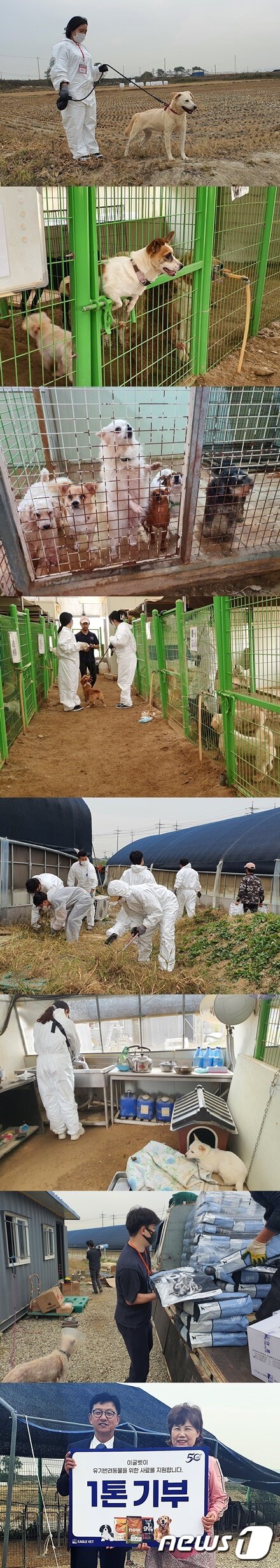 본문 이미지 - 이글벳은 21일 경기 김포시 한 사설 동물보호소에서 봉사활동을 진행했다. ⓒ 뉴스1 최서윤 기자