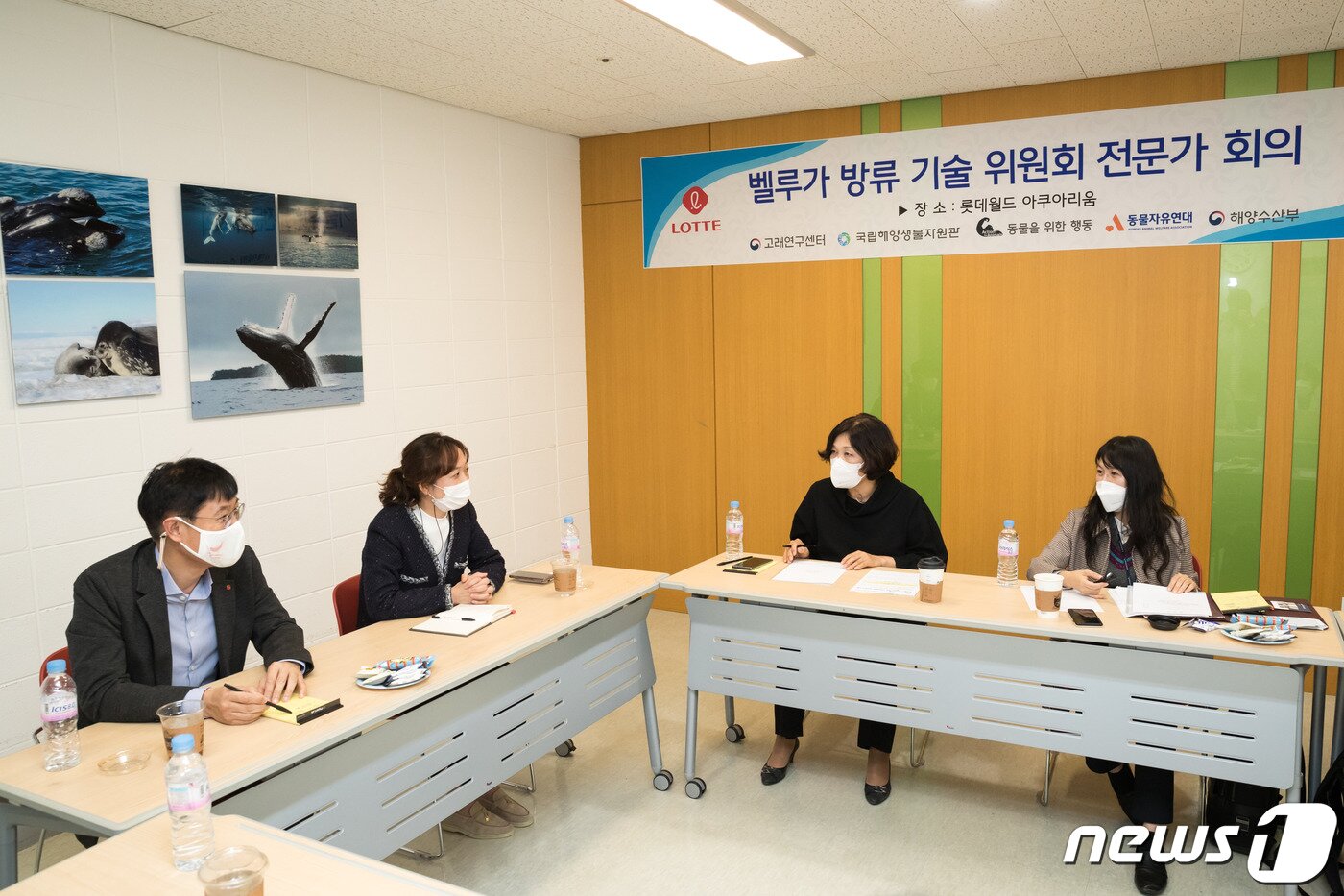 본문 이미지 - 롯데월드 아쿠아리움은 21일 벨루가의 안전 방류를 위한 자문회의를 진행했다. 사진 롯데월드 아쿠아리움 제공 ⓒ 뉴스1