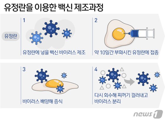 본문 이미지 - ⓒ News1 이지원 디자이너