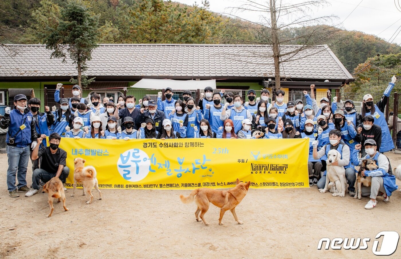 본문 이미지 - 내추럴발란스는 25일 경기도 한 사설보호소에서 연예인, 수의사, 반려동물 업체 등으로 구성된 블루엔젤봉사단 봉사활동을 진행했다. 사진 블루엔젤봉사단 제공 ⓒ 뉴스1