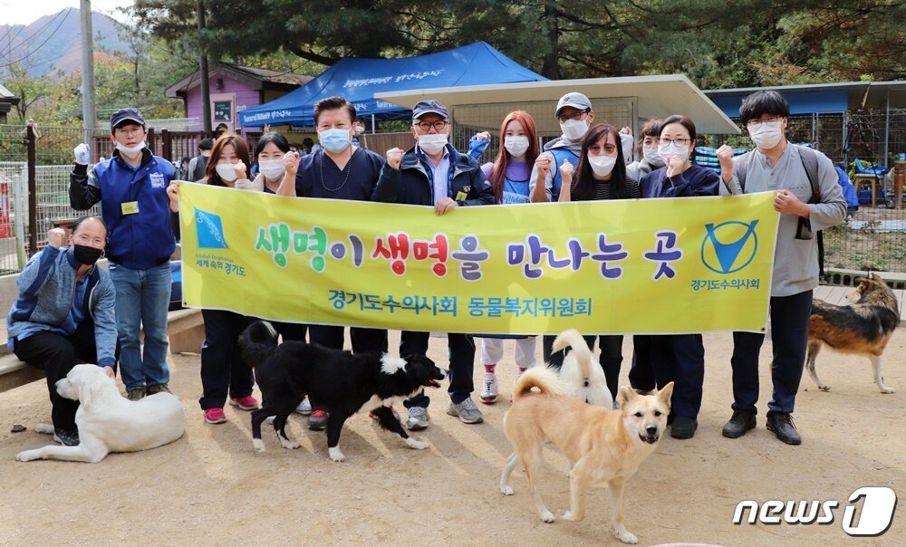 본문 이미지 - 경기도수의사회 소속 수의사 등은 25일 경기 용인시의 한 사설 동물보호소에서 의료 봉사를 진행했다. 사진 경기도수의사회 제공 ⓒ 뉴스1