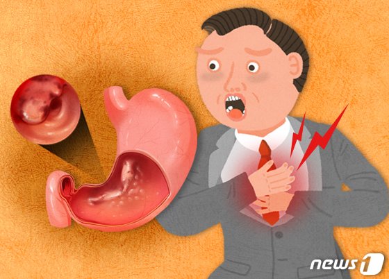 본문 이미지 - ⓒ News1 DB
