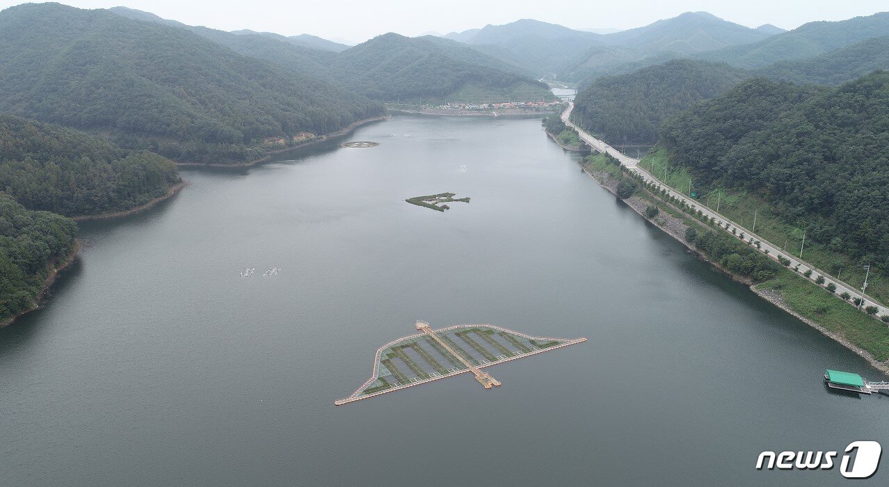 본문 이미지 - 충북 보은 궁저수지 자료사진.(사진은 기사 내용과 무관함) / 뉴스1 ⓒ News1