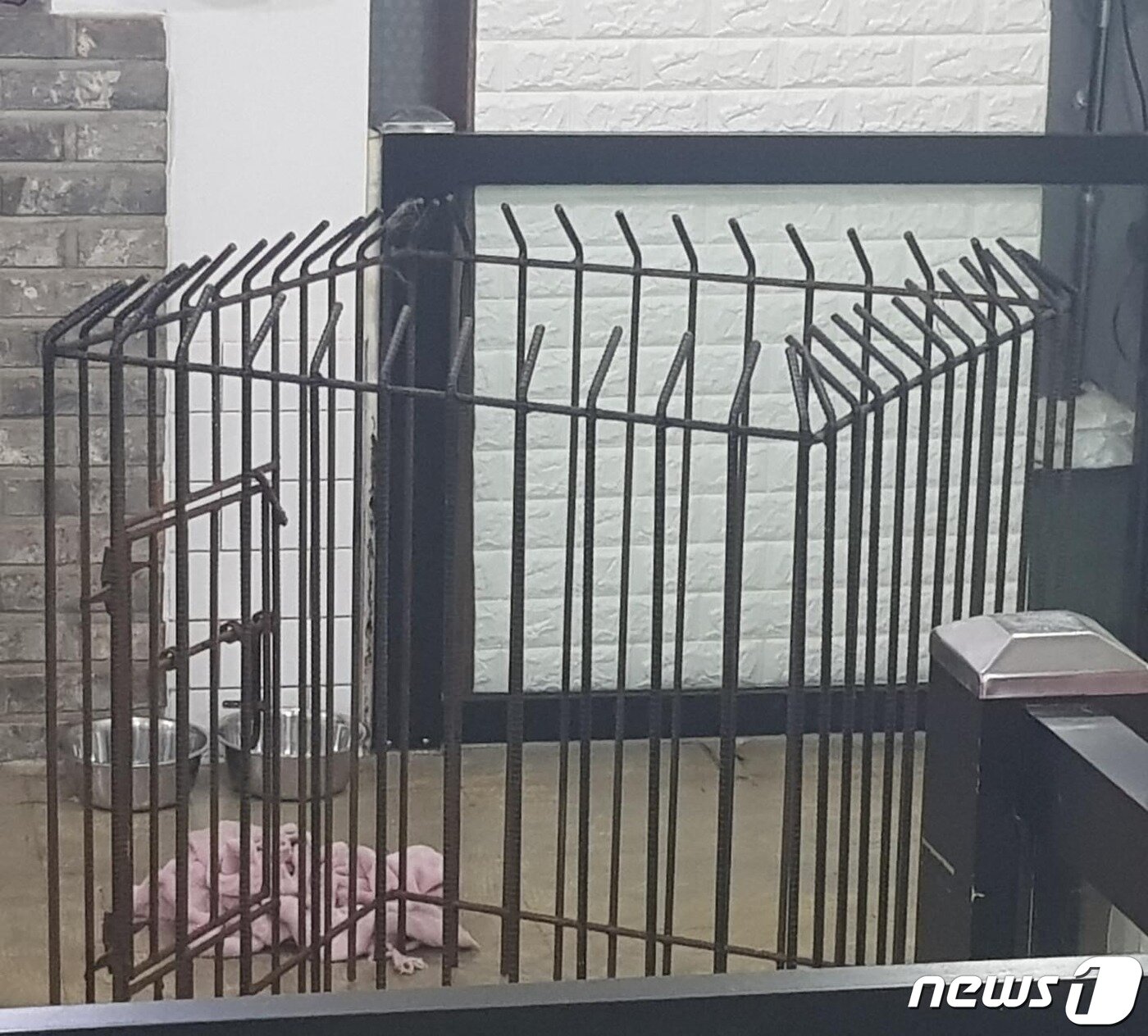 본문 이미지 - 사고가 발생한 애견호텔 철장 울타리. 견주 SNS 화면 캡쳐. ⓒ 뉴스1