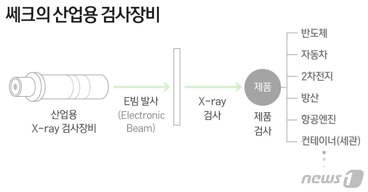 본문 이미지 - ⓒ News1 최수아 디자이너