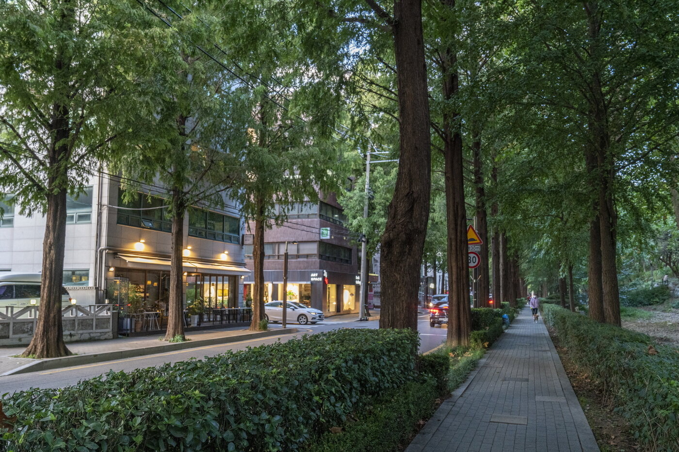 본문 이미지 - 재천근린공원 '연인의 거리' 옆 도롯가에 형성돼 있는 양재천 카페거리의 해 질 녘 풍경