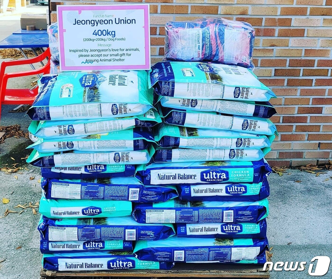 본문 이미지 - 트와이스 정연의 해외팬클럽은 30일 유기동물보호소에 사료를 기부했다. 사진 내추럴발란스 제공 ⓒ 뉴스1