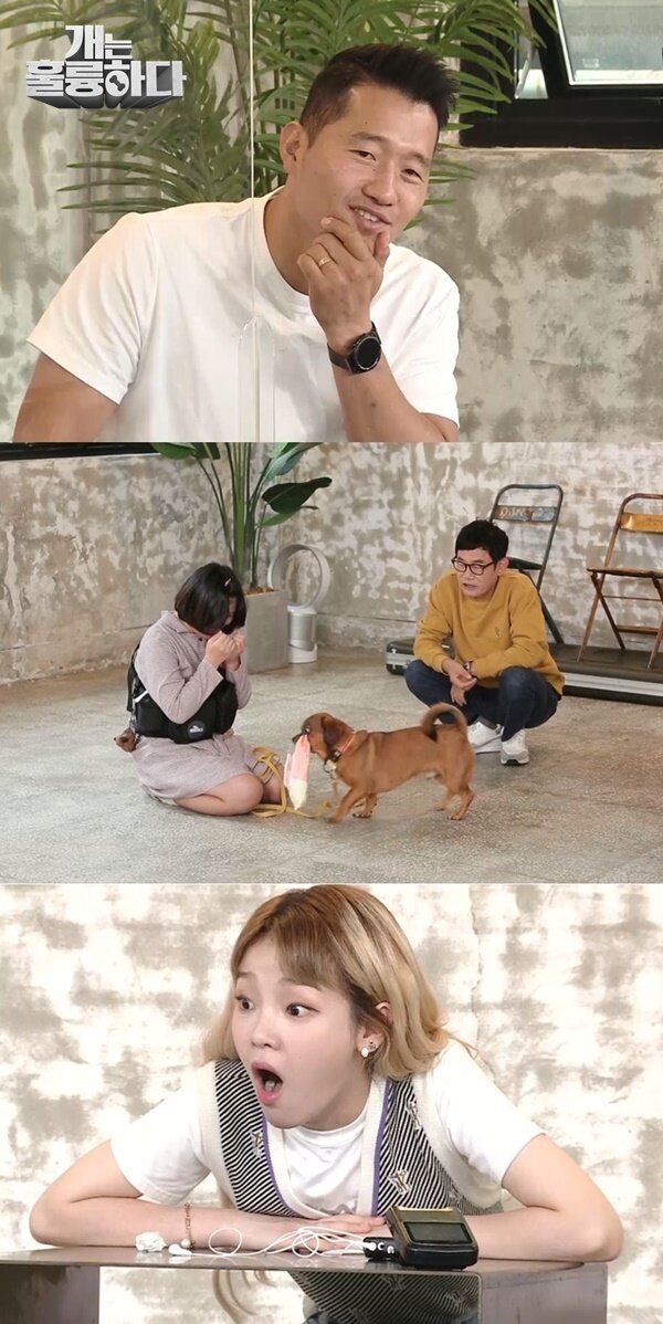 본문 이미지 - 사진 '개는 훌륭하다' ⓒ 뉴스1