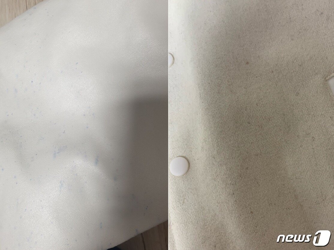 본문 이미지 - 부경대학교 익명 커뮤니티에 올라온 학과별 점퍼 얼룩 사진 캡처. ⓒ 뉴스1