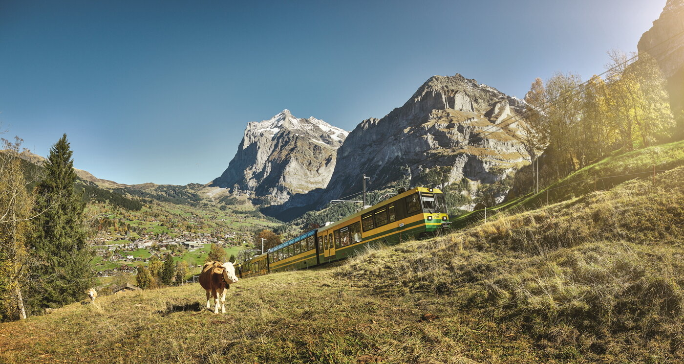 본문 이미지 - 벵에른알프 철도(Wengernalp)