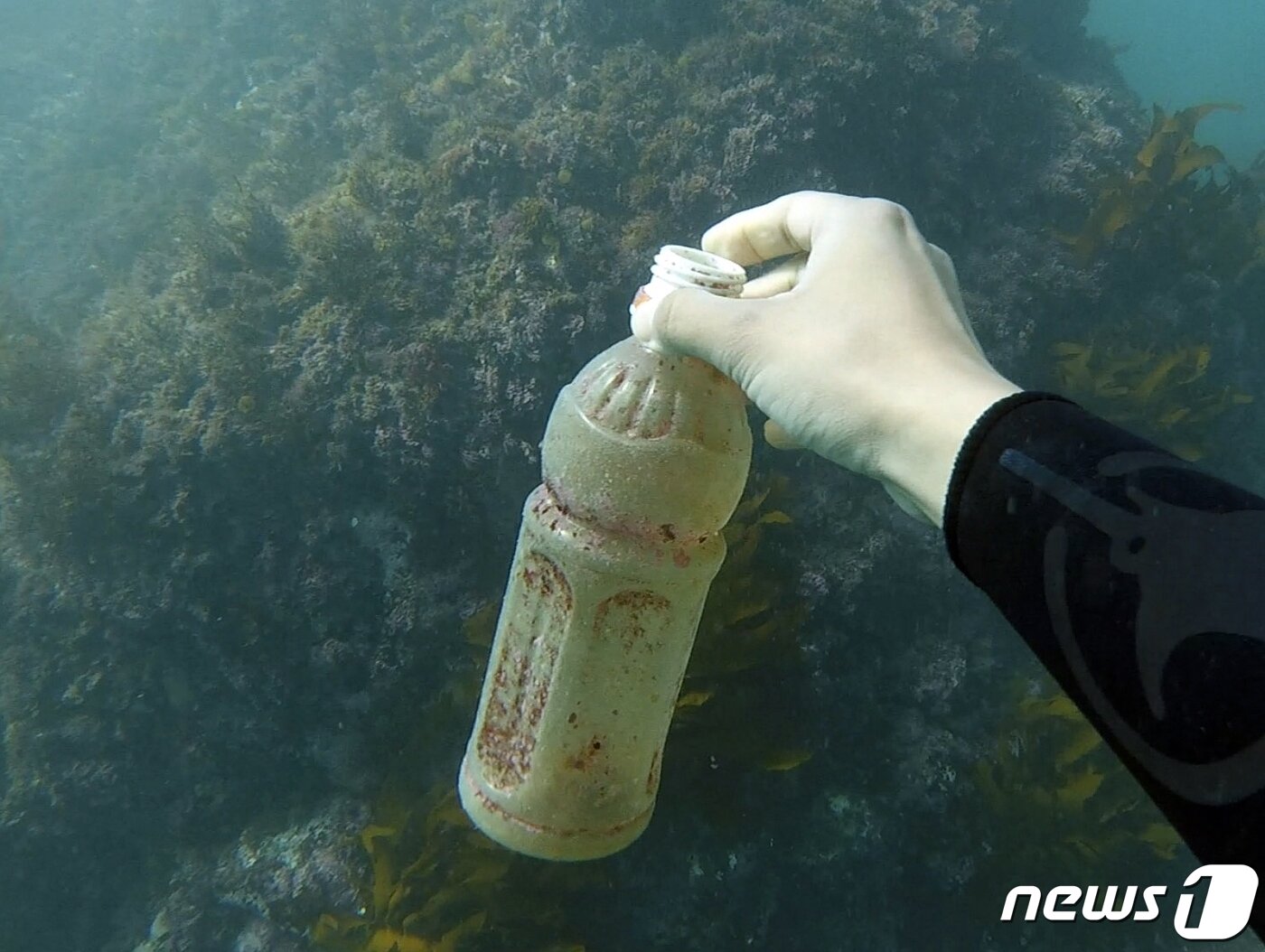 본문 이미지 - 제주 앞바다에서 발견된 플라스틱 쓰레기.(디프다 제주 제공)2020.11.14/뉴스1ⓒ News1