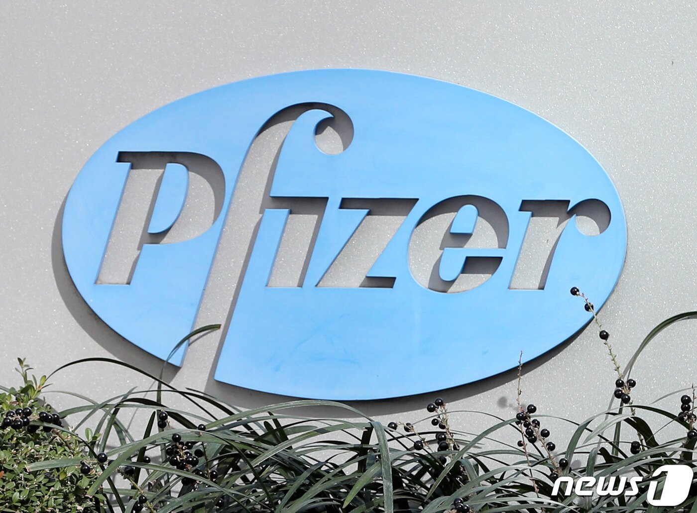 본문 이미지 - 2020.11.10/뉴스1 ⓒ News1 이성철 기자