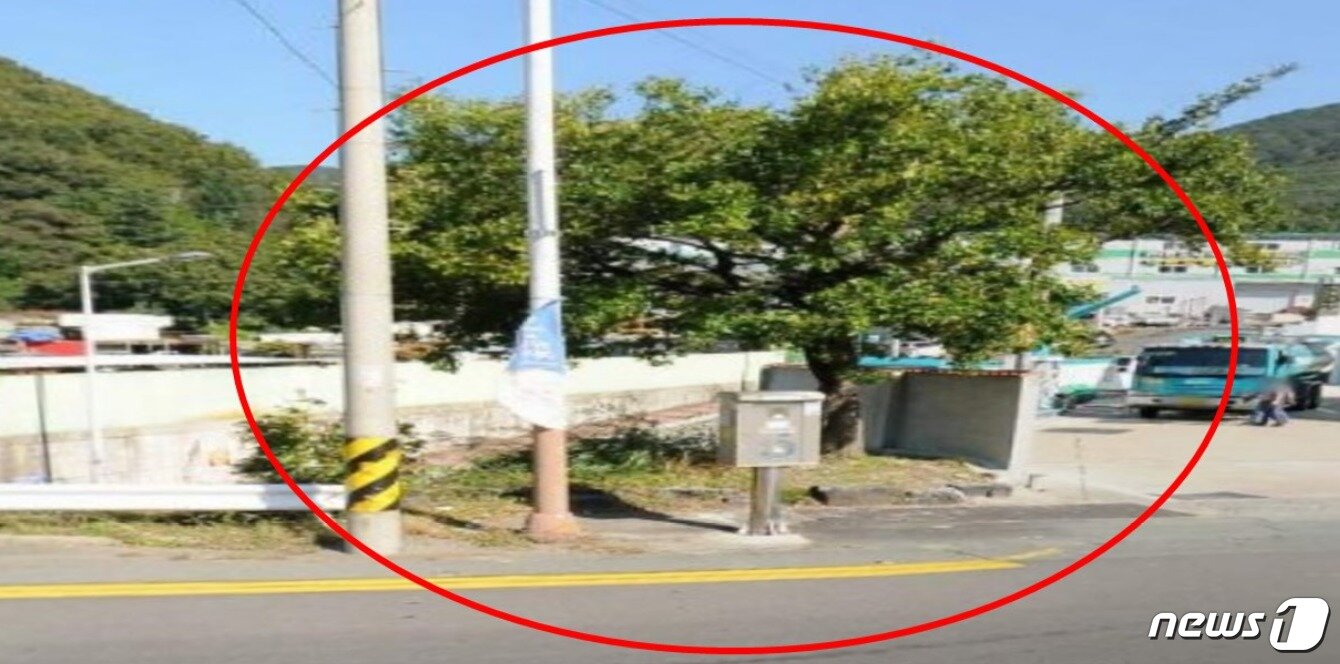 본문 이미지 - 지난 9월7일 오전 2시쯤 제2만덕터널 인근에서 차량 추락 사고가 발생한 사실이 뒤늦게 알려졌다. 당시 20대 운전자 1명이 이곳에서 사고로  숨졌다.(김효정 의원 제공)ⓒ 뉴스1