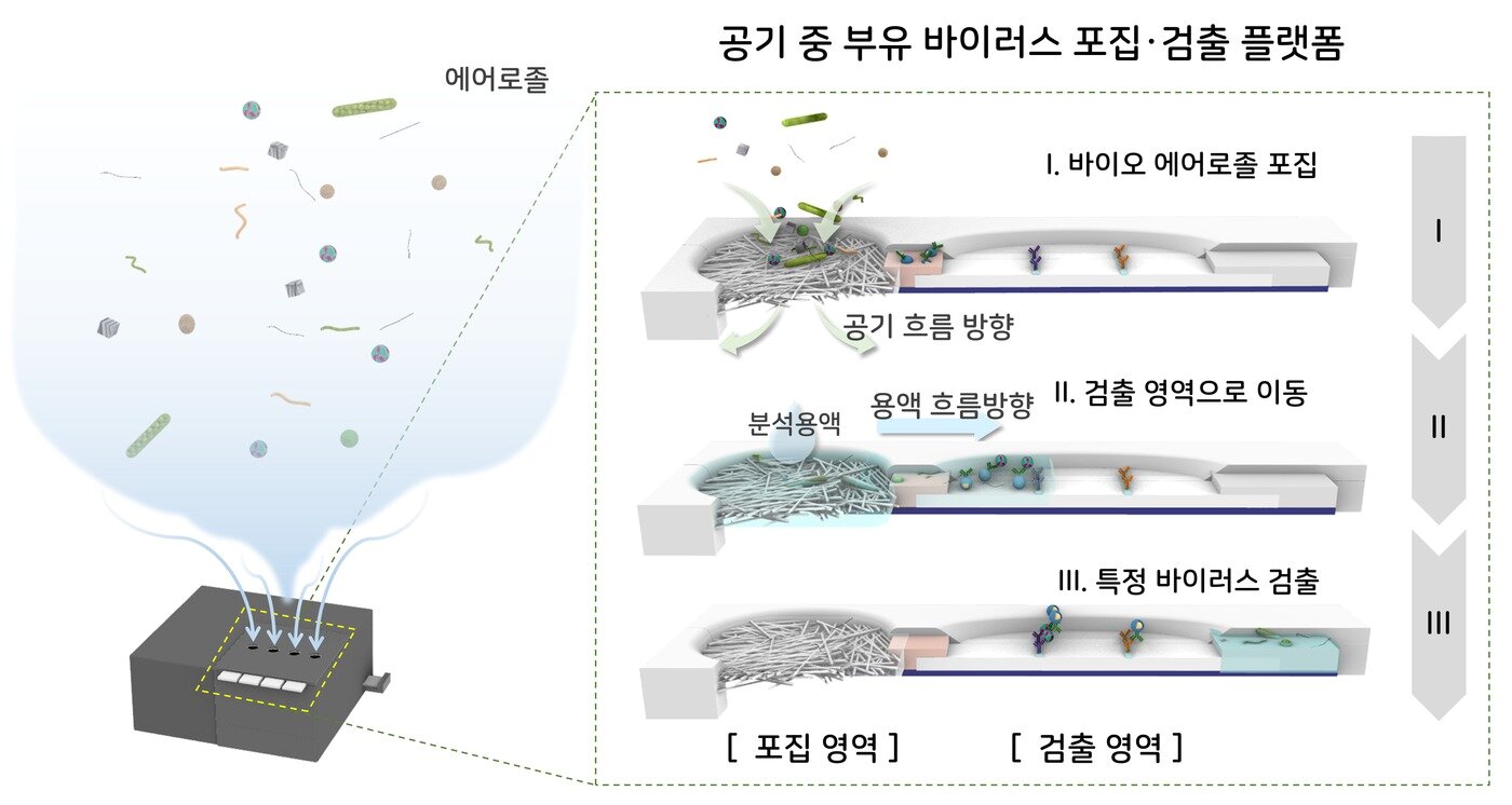 본문 이미지 - &#40;한국과학기술연구원 제공&#41; 2020.11.12 /뉴스1