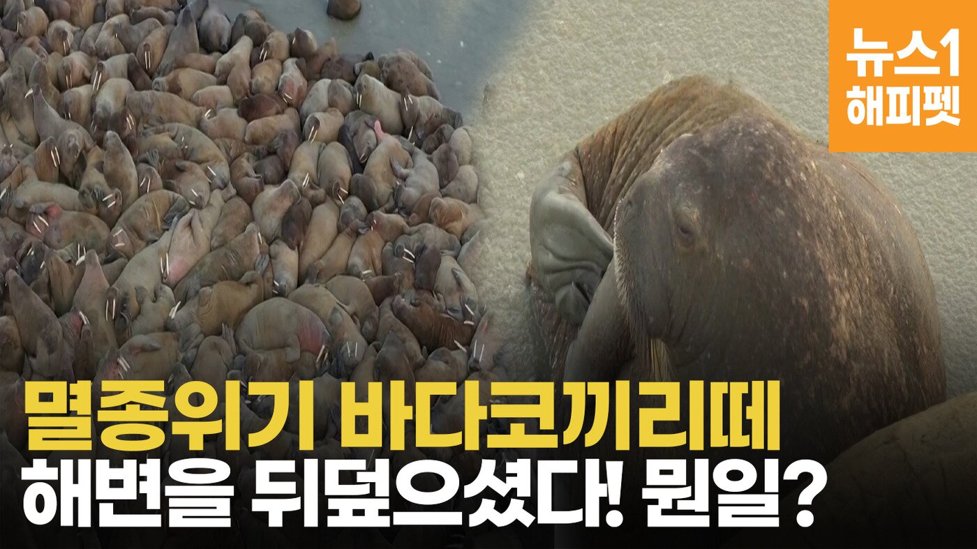 본문 이미지 - ⓒ 뉴스1