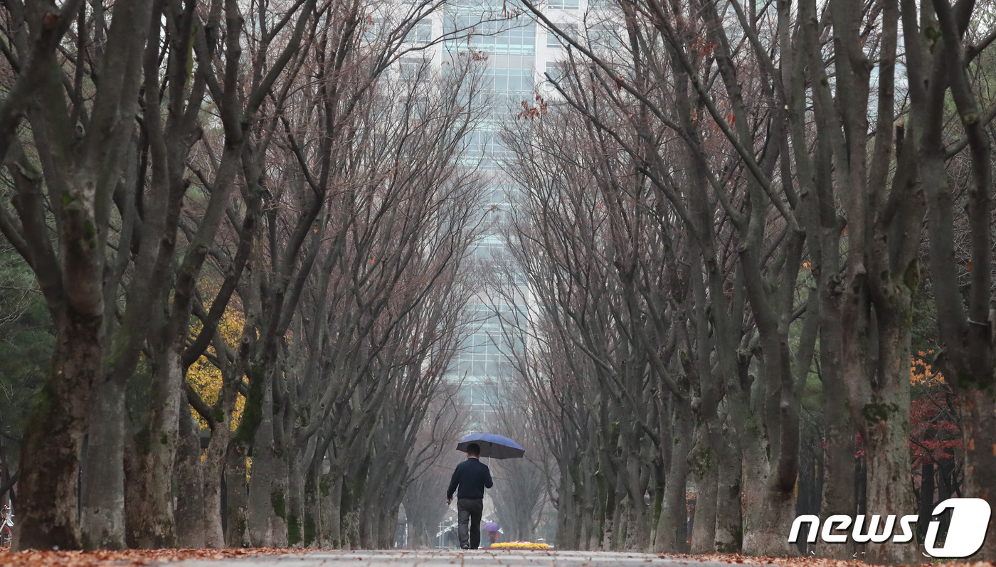 (대전=뉴스1) 김기태 기자 = 대전지역에 비가 내린 18일 오후 대전 서구 보라매공원에서 시민들이 우산을 쓰고 발길을 재촉하고 있다. 2020.11.18/뉴스1