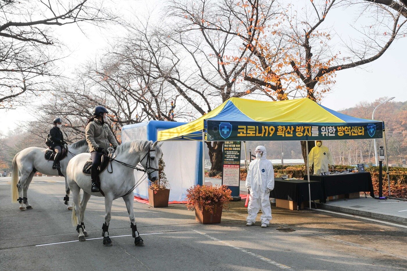 본문 이미지 - 과천경마공원에 설치된 방역센터ⓒ 뉴스1(한국 마사회 제공)