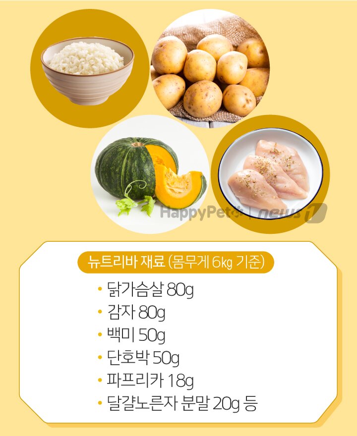 본문 이미지 -  