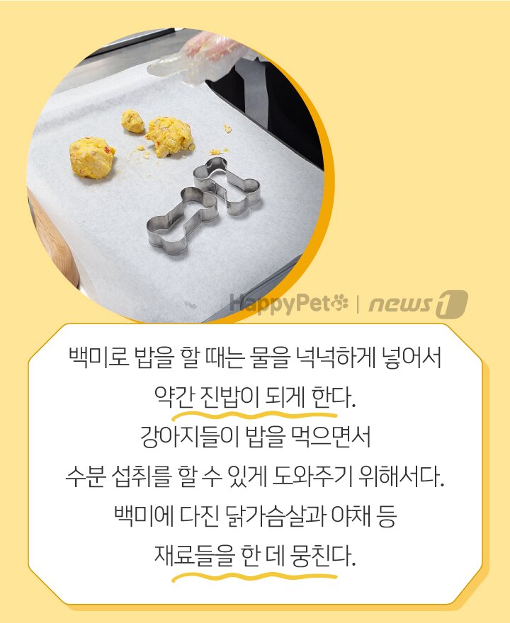 본문 이미지 -  