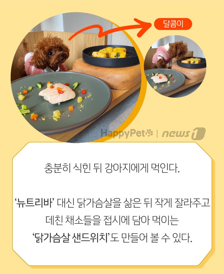 본문 이미지 -  