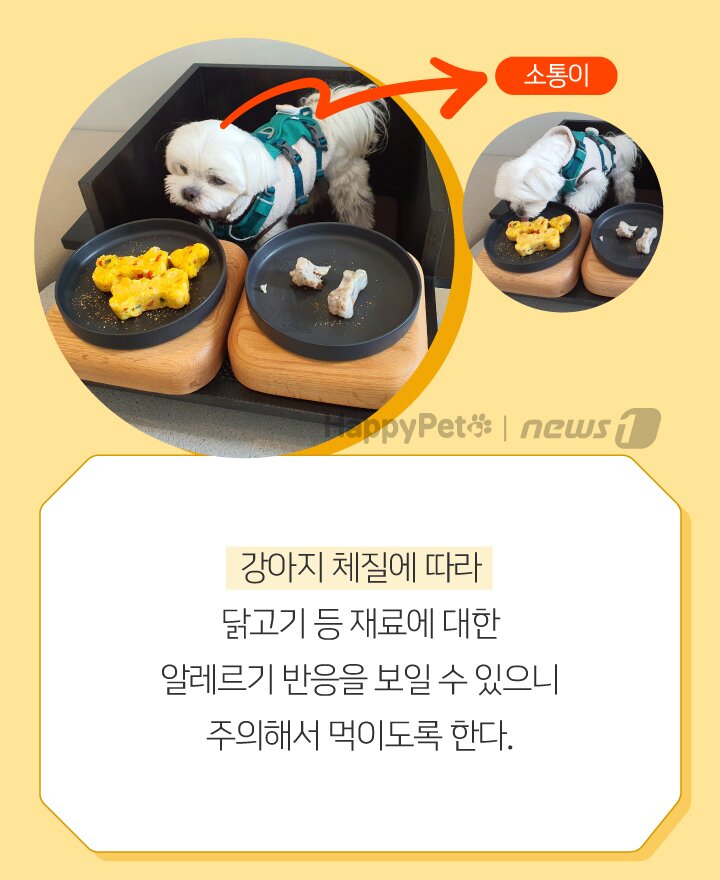 본문 이미지 -  