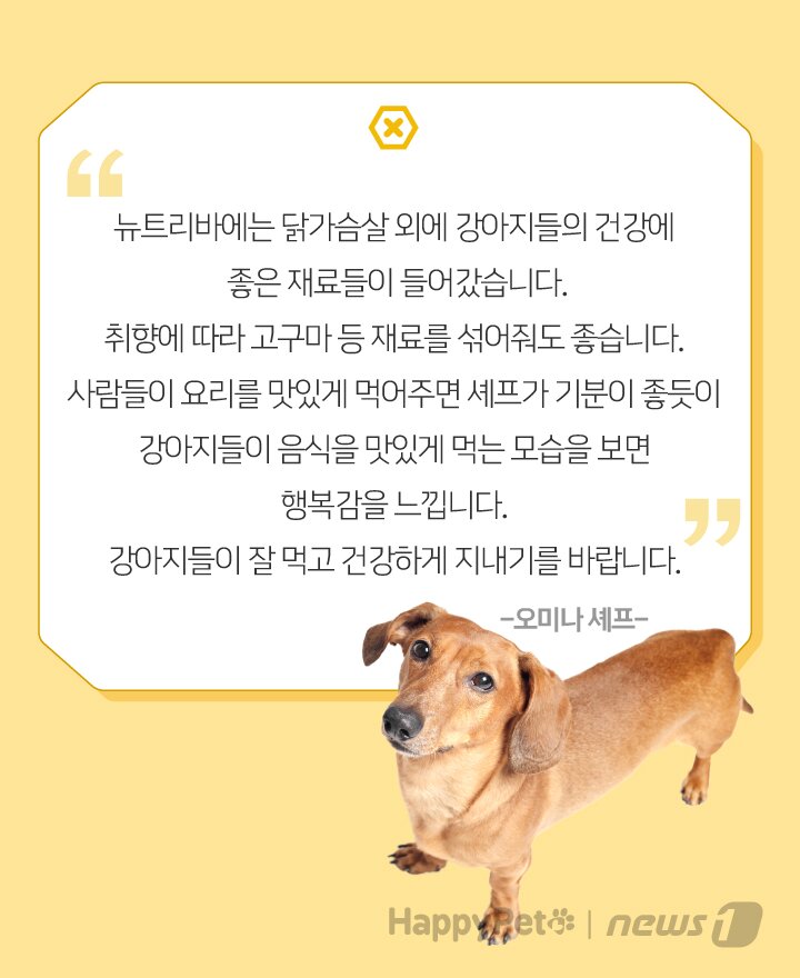 본문 이미지 -  
