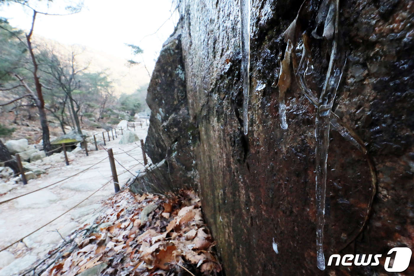 (양주=뉴스1) 김명섭 기자 = 서울의 아침 기온이 영하 2도까지 내려가는 등 초겨울 날씨를 보인 23일 경기도 양주시 북한산 국립공원 송추계곡 등산로에 고드름이 열려 있다. 20 …