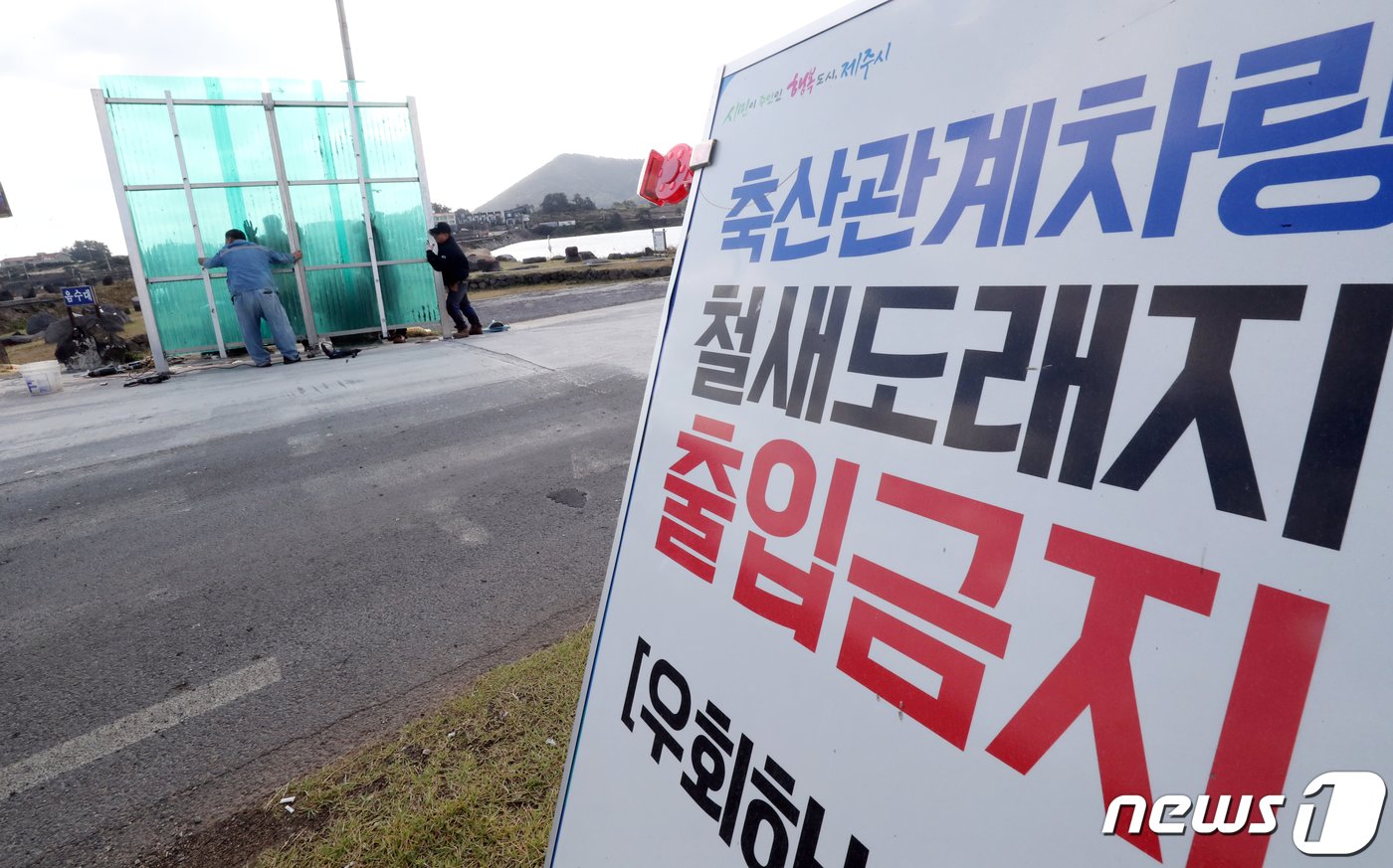 제주시 구좌읍 하도리 철새도래지에 차량소독기가 설치되고 있다./뉴스1 ⓒ News1 오현지 기자